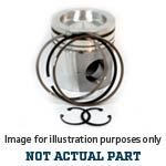 Picture of NL-115017461