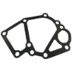 Northern Lights NL-145996650 Fresh Water Pump Gasket