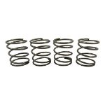 Northern Lights NL-00-13101 Retaining Spring For Generators