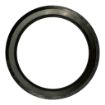 Northern Lights NL-110136290 Intake Valve Seat For Generators