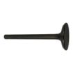 Northern Lights NL-120166370 Intake Valve For Generators