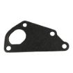 Northern Lights NL-145996830 Water Pump Gasket