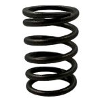 Northern Lights NL-198217070 Valve Spring For Generators