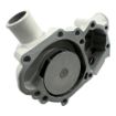 Northern Lights NL-145017320 Fresh Water Pump For M753K And M753W Generators